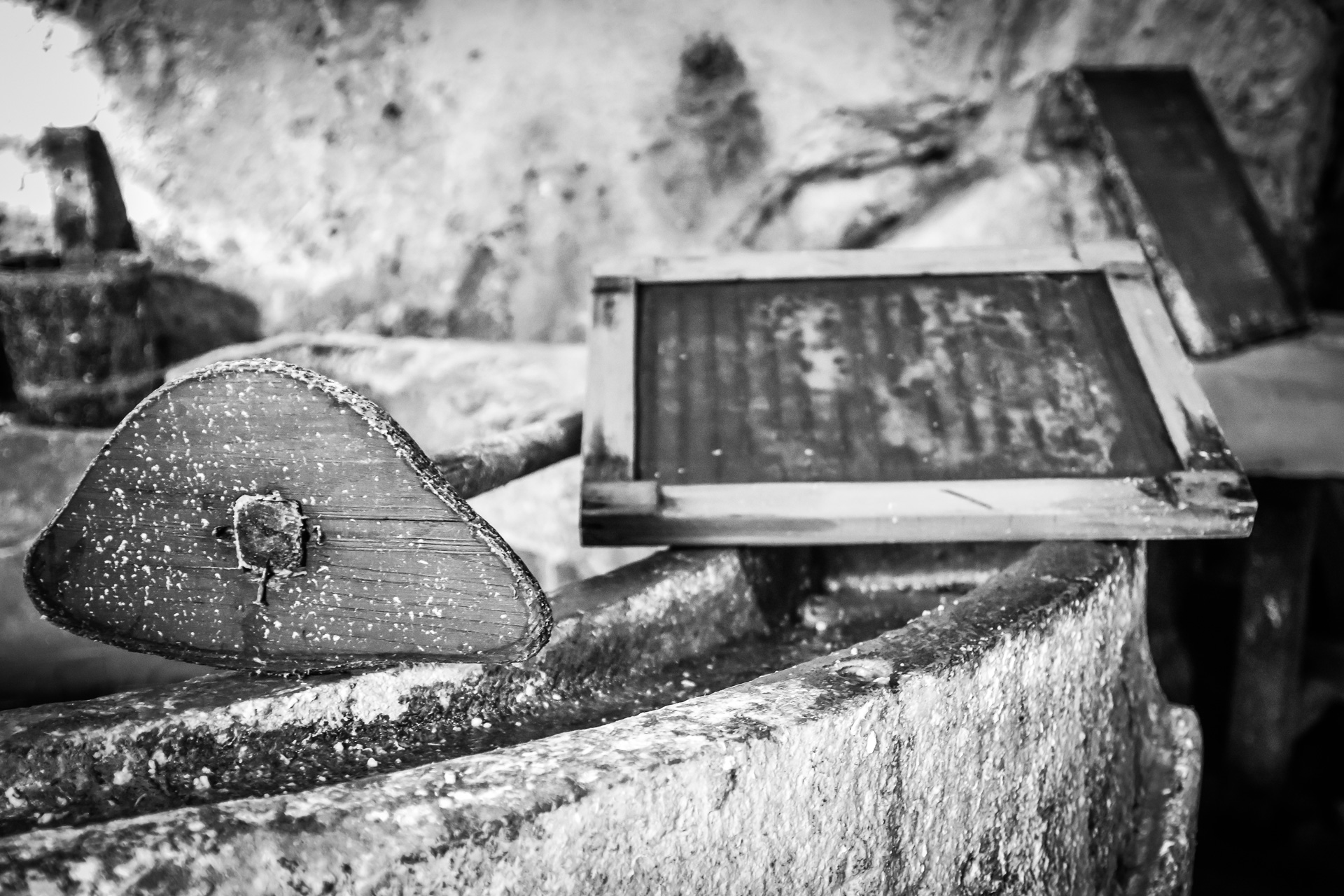 The library Museo della Carta